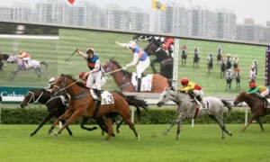 Tìm Hiểu Cá Cược Đua Ngựa 58Win Cho Người Mới