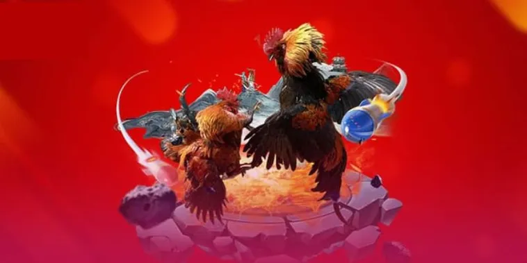 Đá Gà 58Win Nơi Hội Tụ Đam Mê Của Các Sư Kê Đẳng Cấp